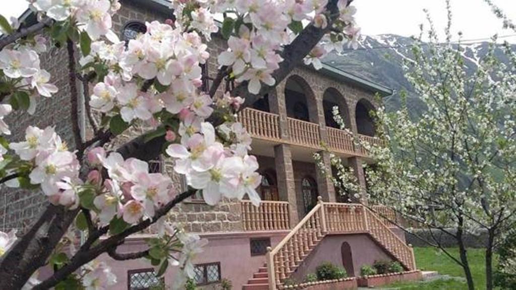 Max Hotel Gogi Alibegashvili Kazbegi Exteriör bild
