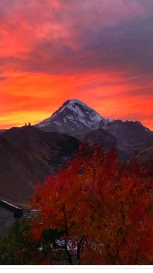 Max Hotel Gogi Alibegashvili Kazbegi Exteriör bild