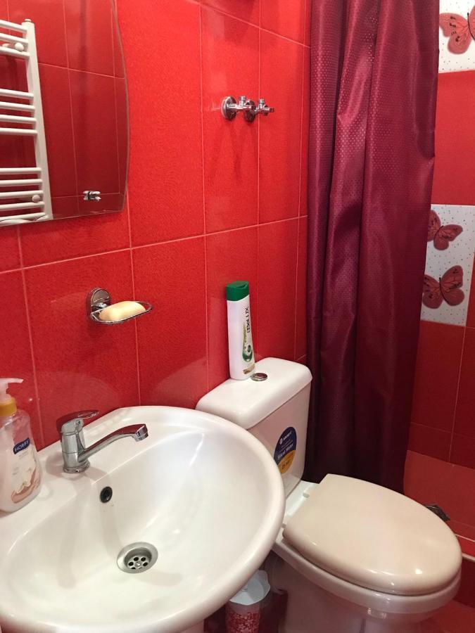 Max Hotel Gogi Alibegashvili Kazbegi Exteriör bild