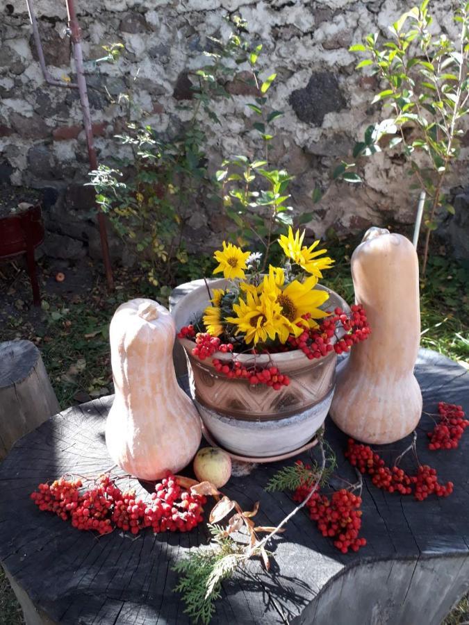 Max Hotel Gogi Alibegashvili Kazbegi Exteriör bild