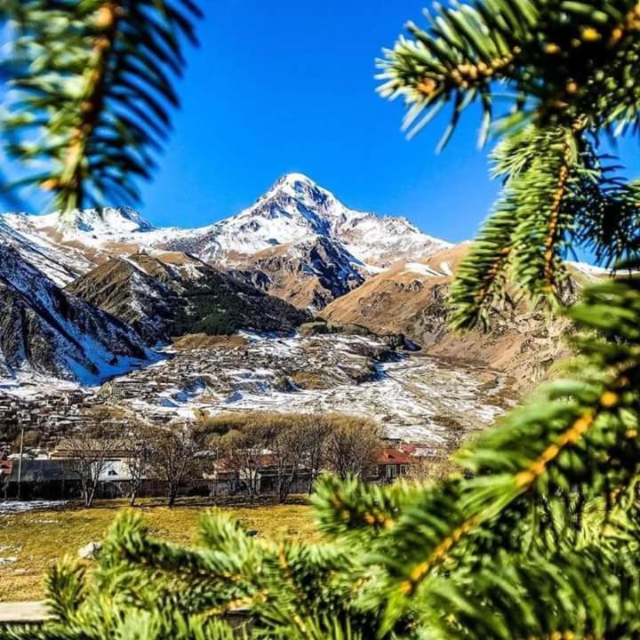 Max Hotel Gogi Alibegashvili Kazbegi Exteriör bild